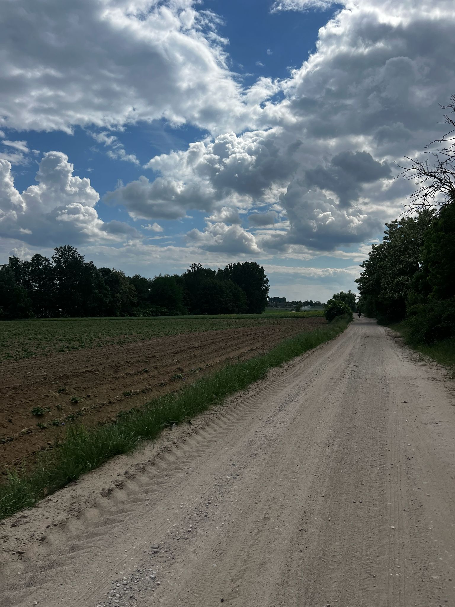 poniedziałek, 1 czerwca 2026 — Poznań → Kruszwica (1/7)
