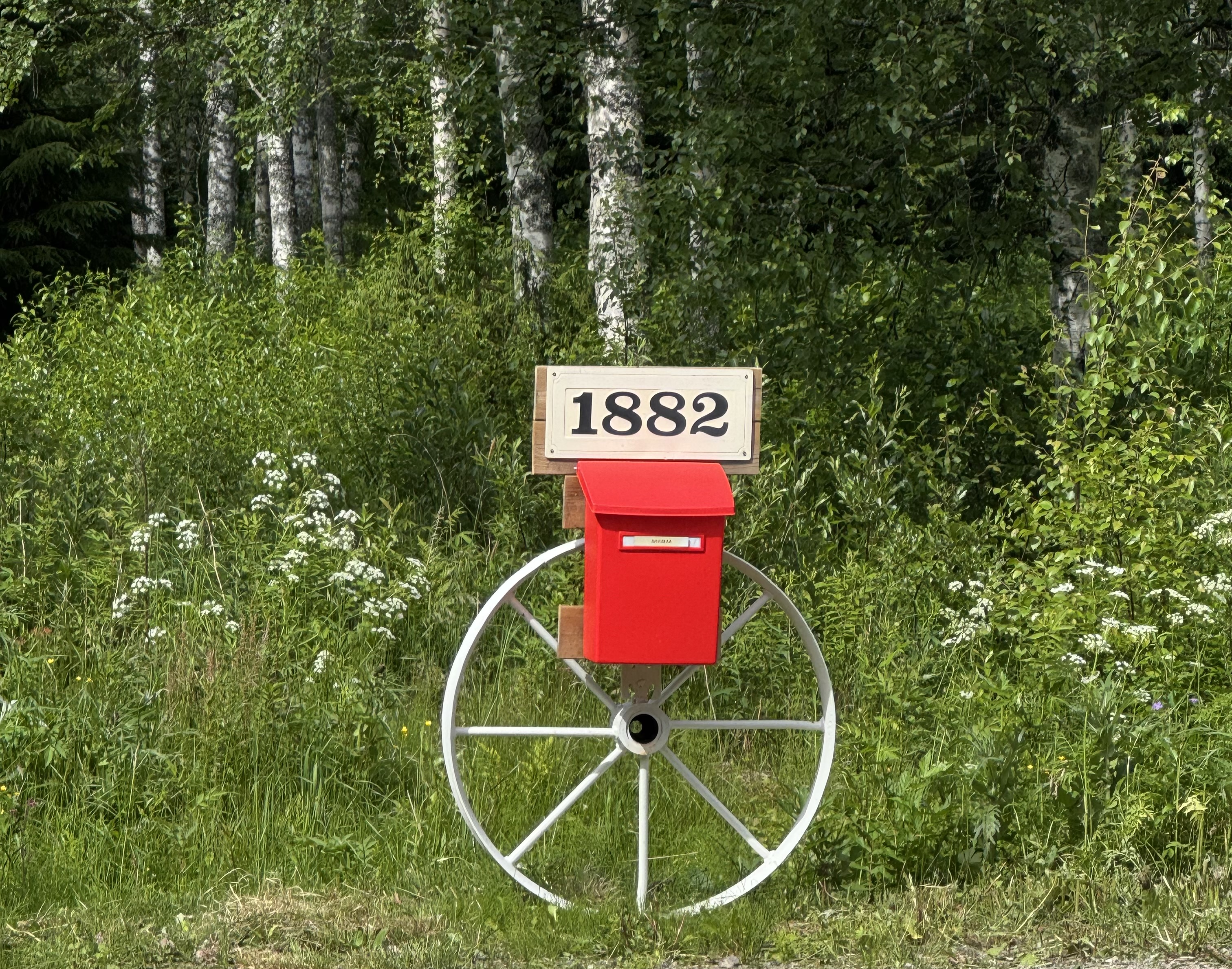 piątek, 19 czerwca 2026 — Viitasaari → Pyhajarvi (1/8)