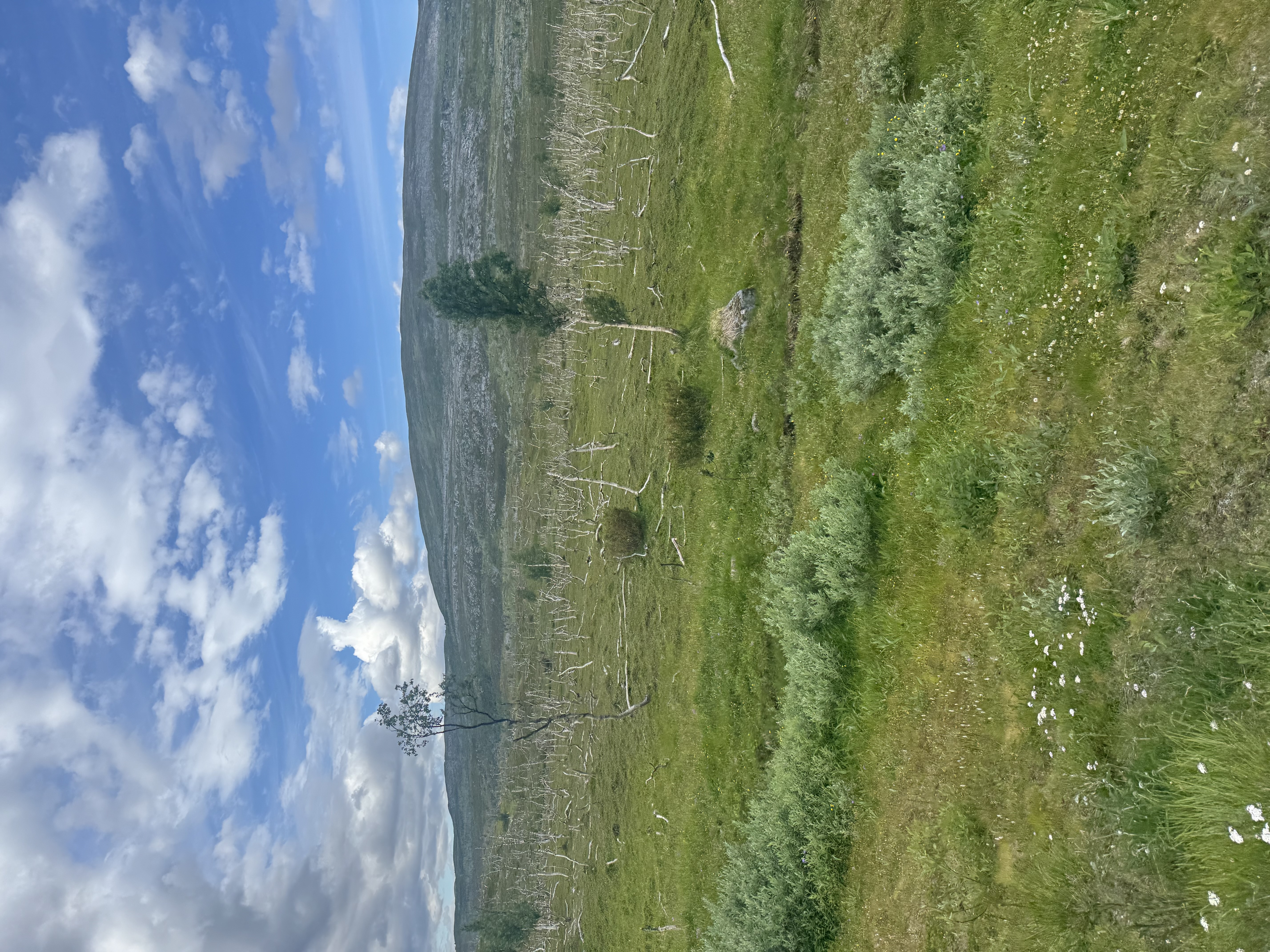 sobota, 4 lipca 2026 — Olderfjord → Alta (2/5)