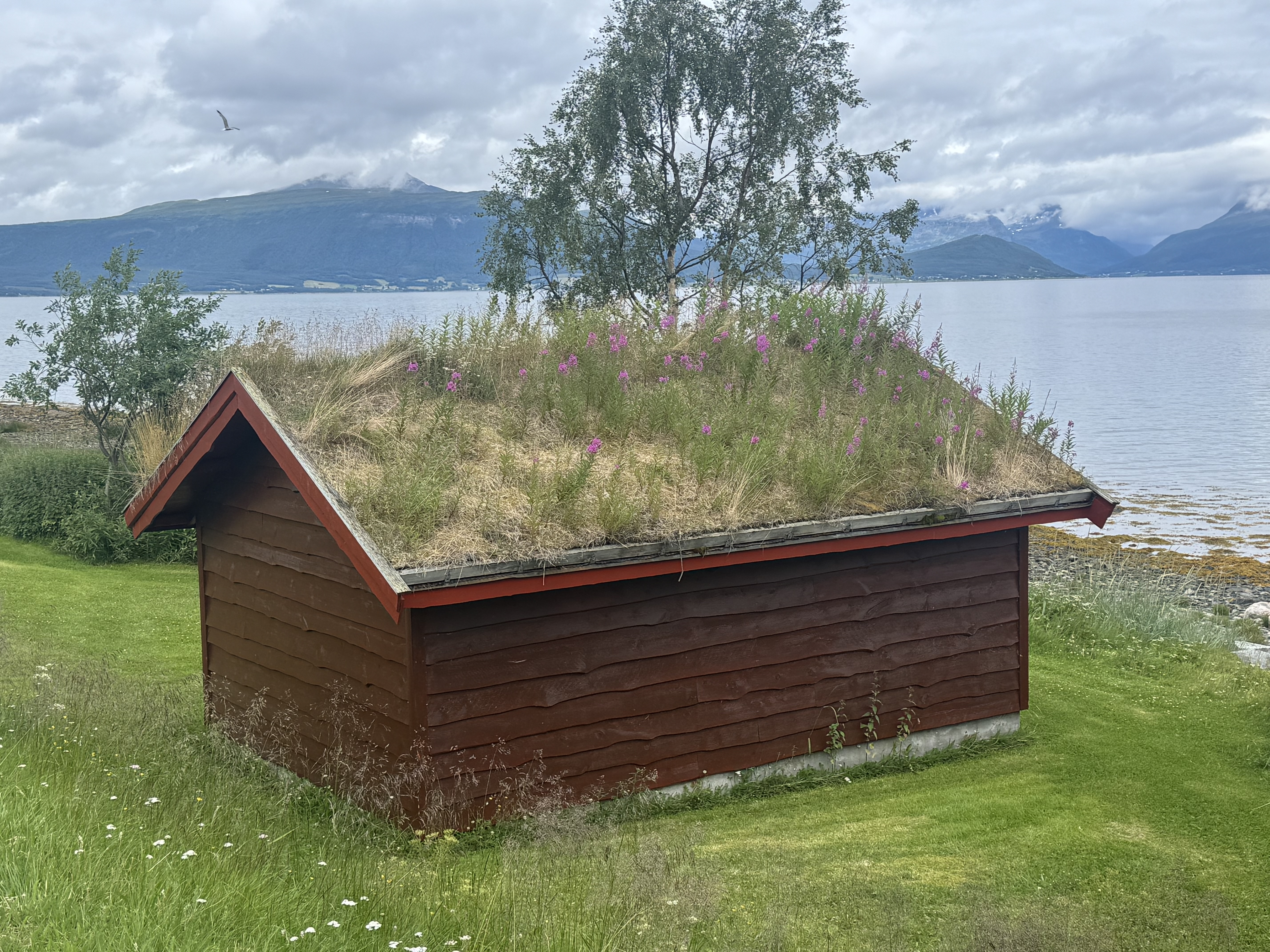 czwartek, 9 lipca 2026 — Nordkjosbotn → Bardu (1/6)