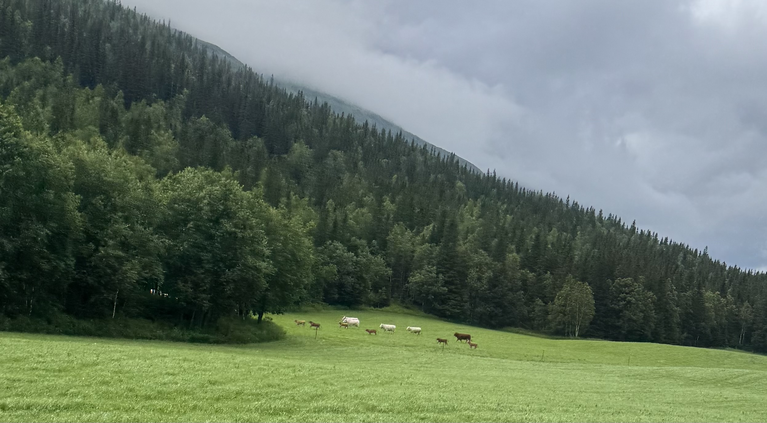 piątek, 17 lipca 2026 — Rognan → Storforshei (3/5)