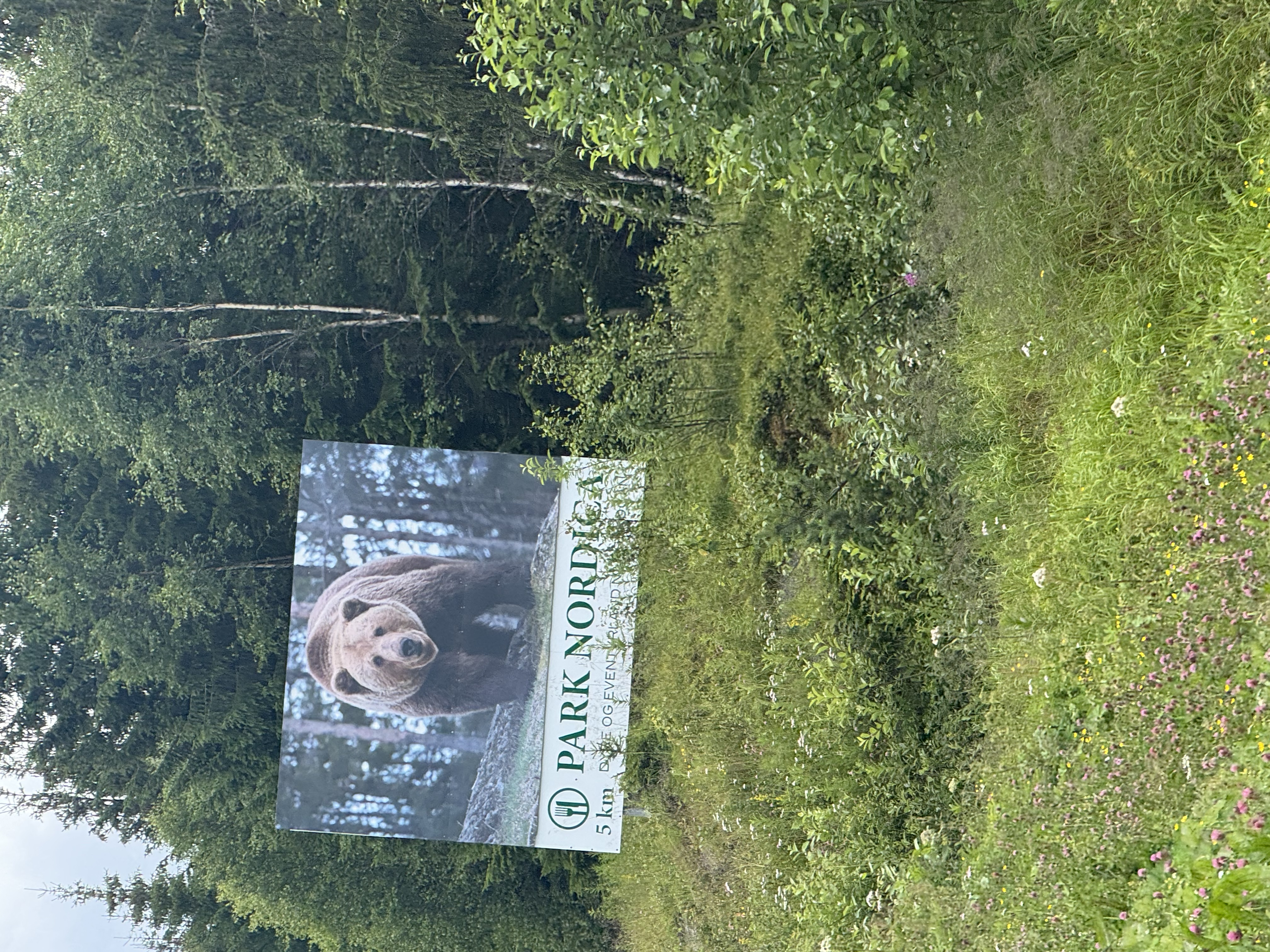 poniedziałek, 20 lipca 2026 — Sveninngdal → Trones (1/6)