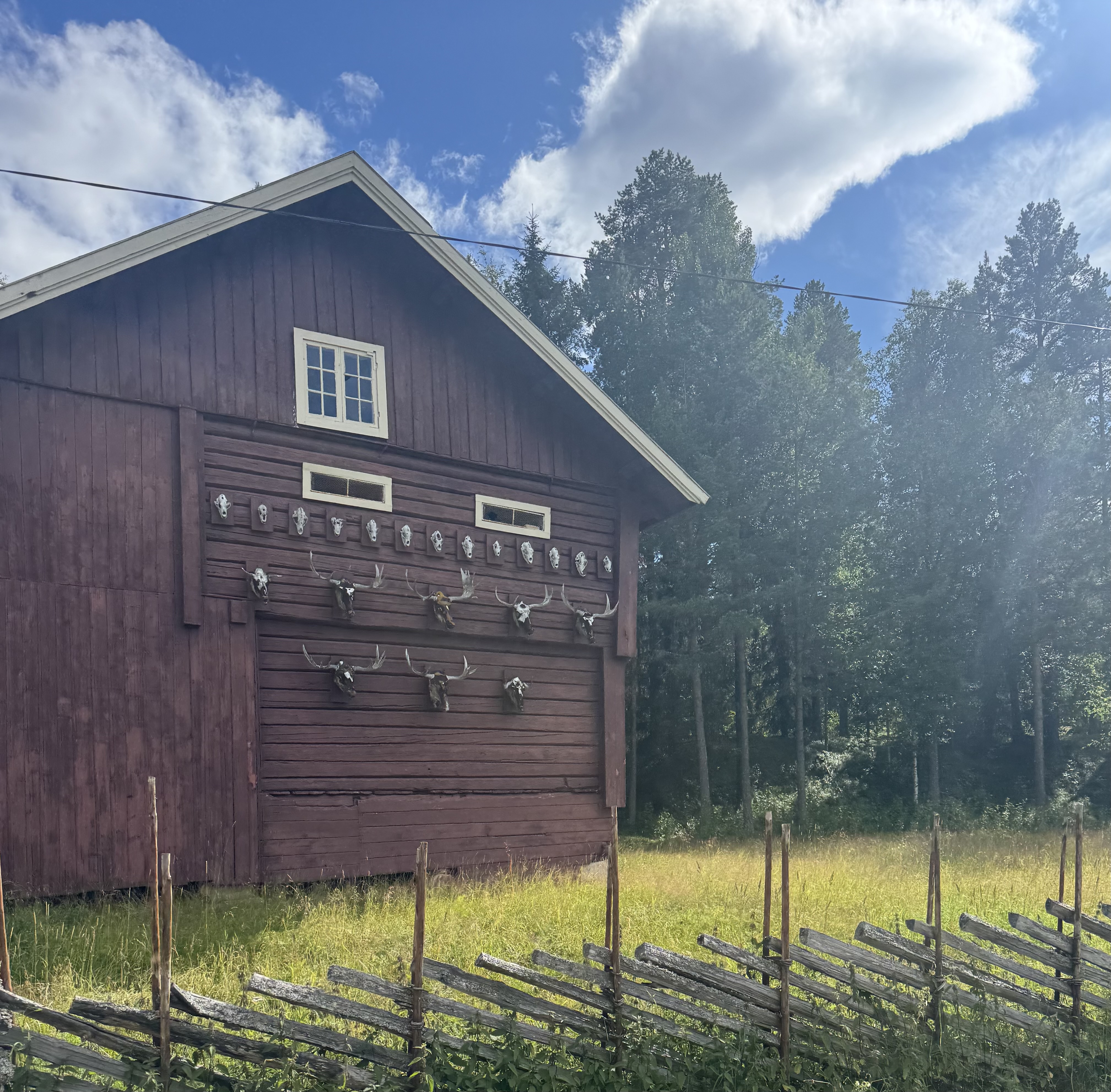 niedziela, 26 lipca 2026 — Alvdal → Koppang (2/9)
