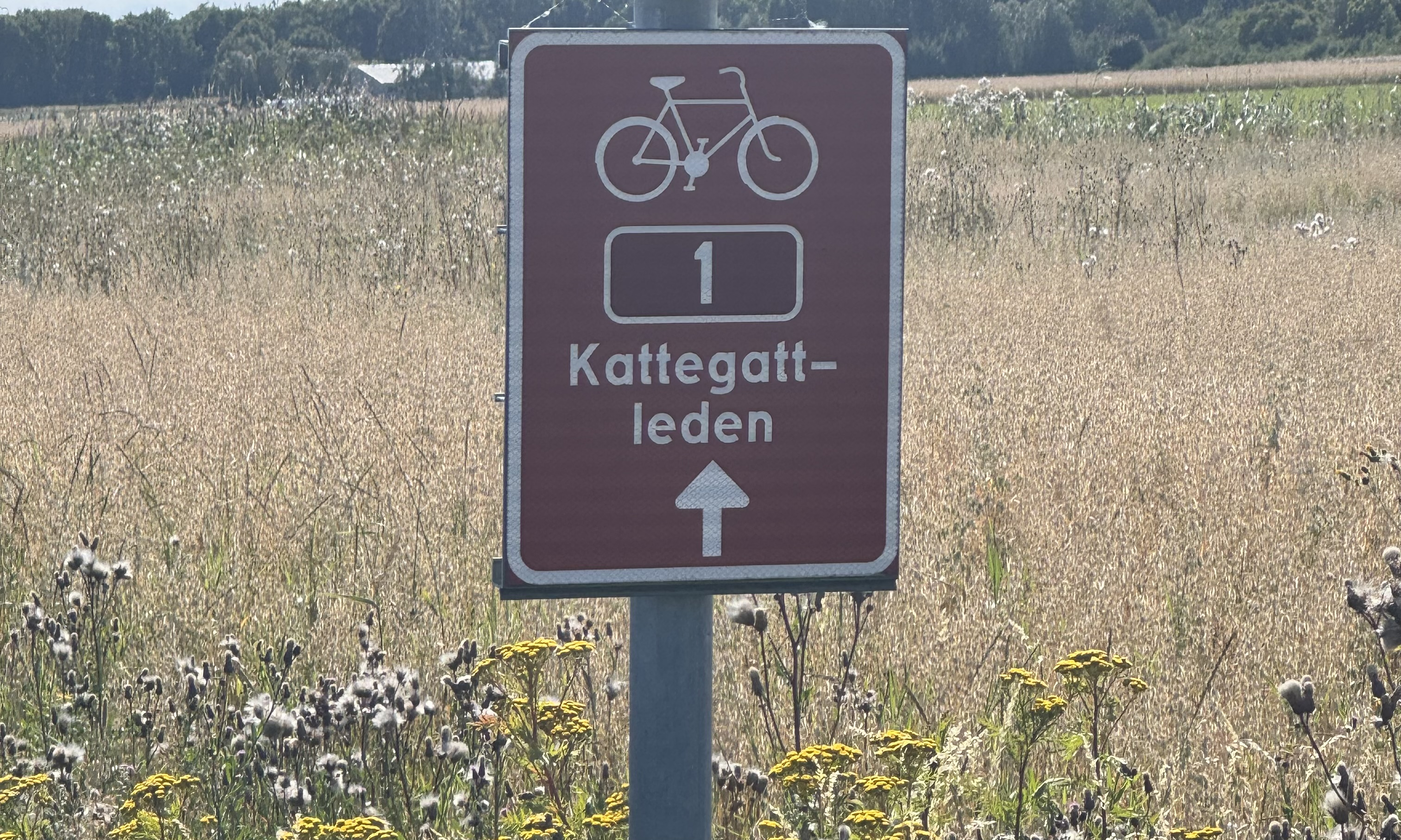 sobota, 1 sierpnia 2026 — Göteborg → Varberg (1/9)